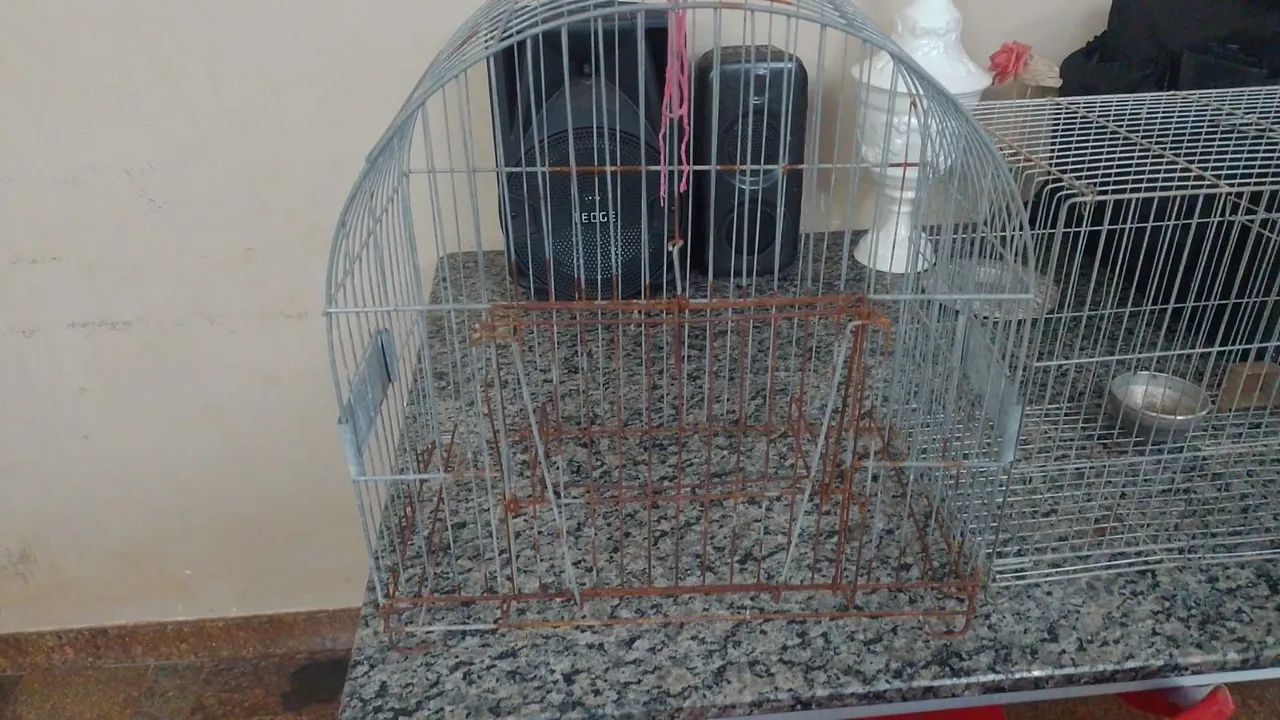 Gaiolas - Foto 3