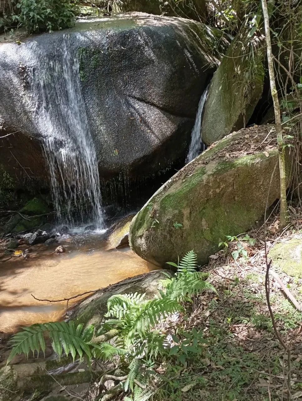 Sitio de 20 alqueires em Cunha - Foto 3