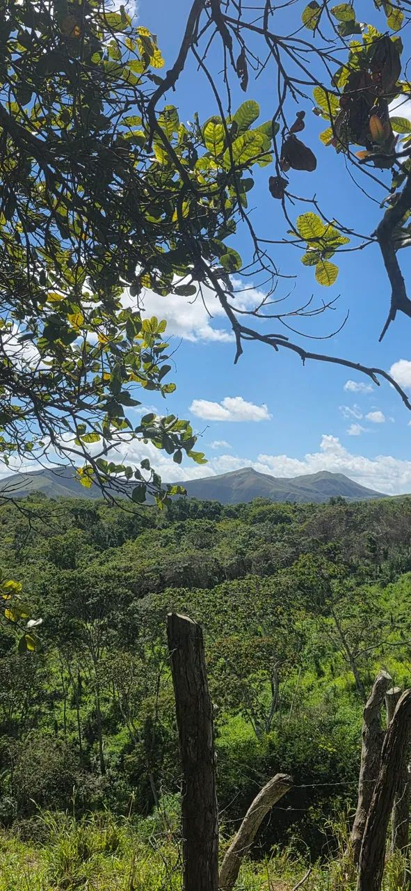 Pasto feito - Povoado Campanha, São Domingos. 