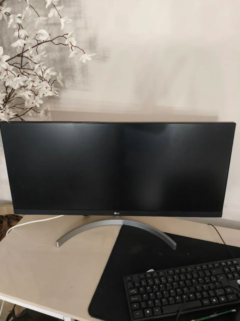 MONITOR LG ULTRAWIDE 29 - 100Hz