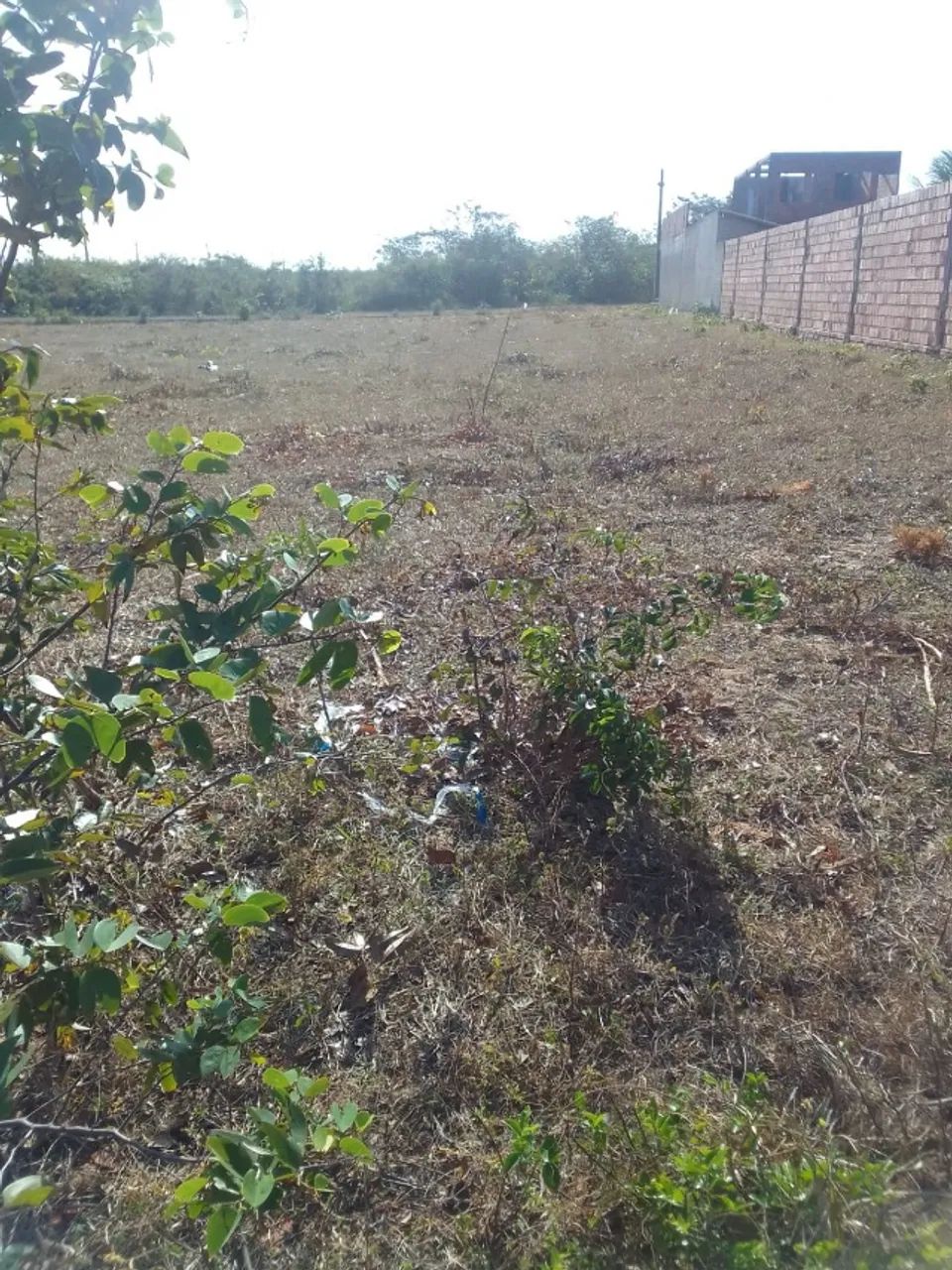 Vendo lote quitado em paraipaba  - Foto 2