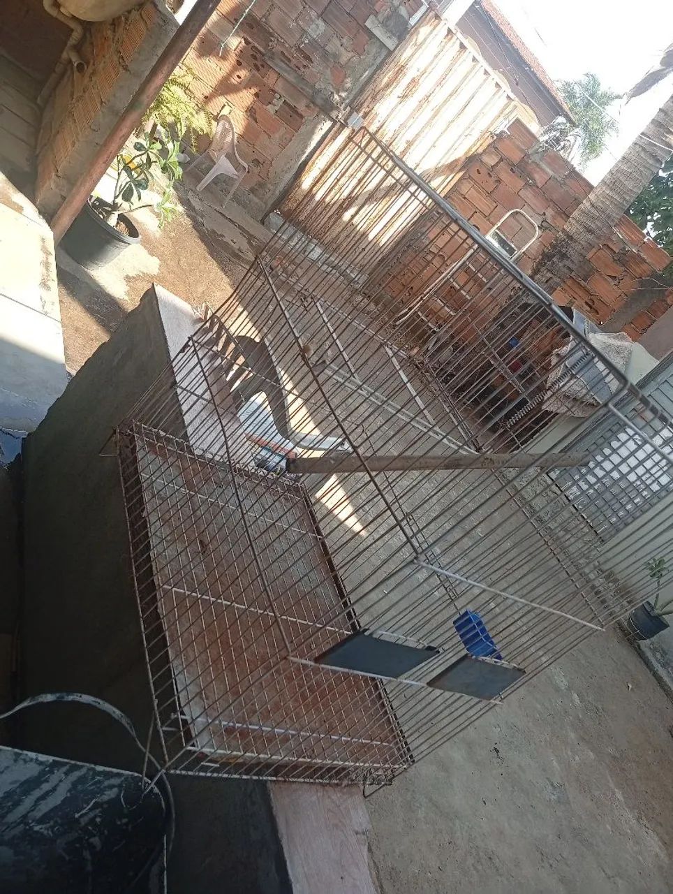 Gaiola  - Foto 3