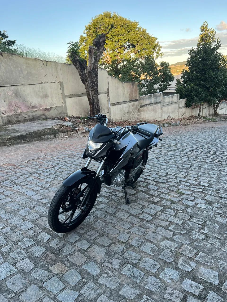 Fan 2026 - Foto 3