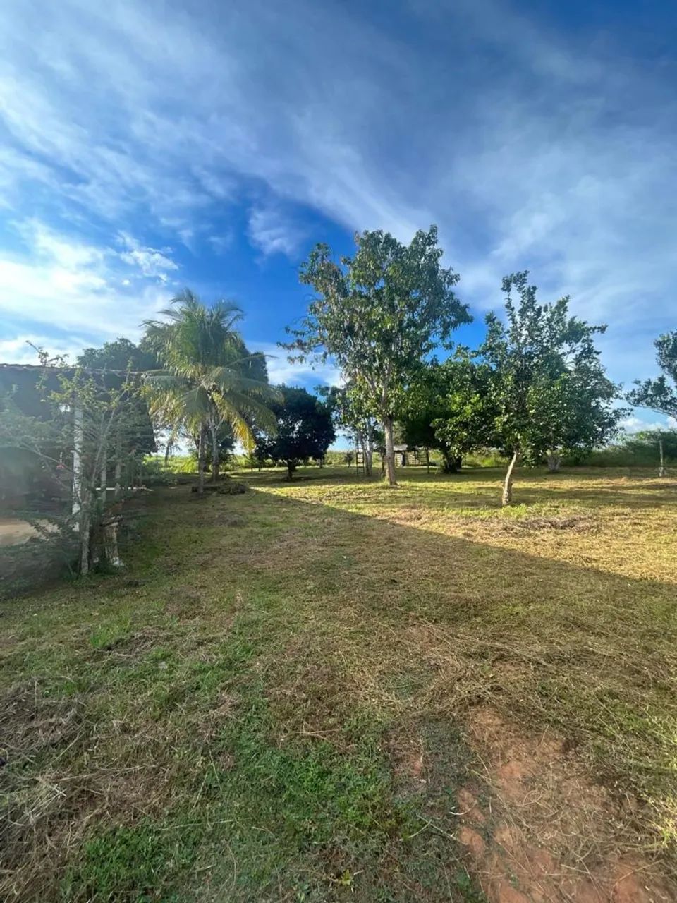 OPORTUNIDADE: CHÁCARA A VENDA - 100m da PA-160 - Foto 4