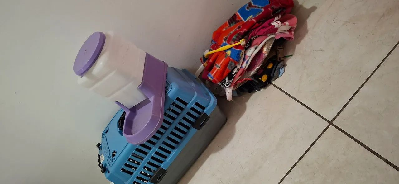 Kit para pet - Foto 3