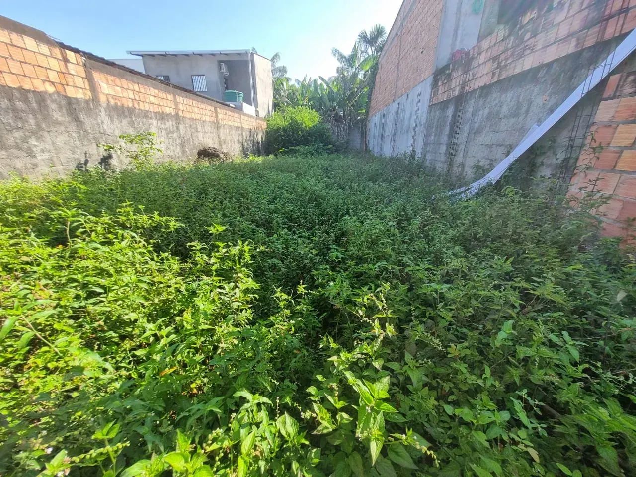 AGUAS CLARAS, Terreno - Foto 3