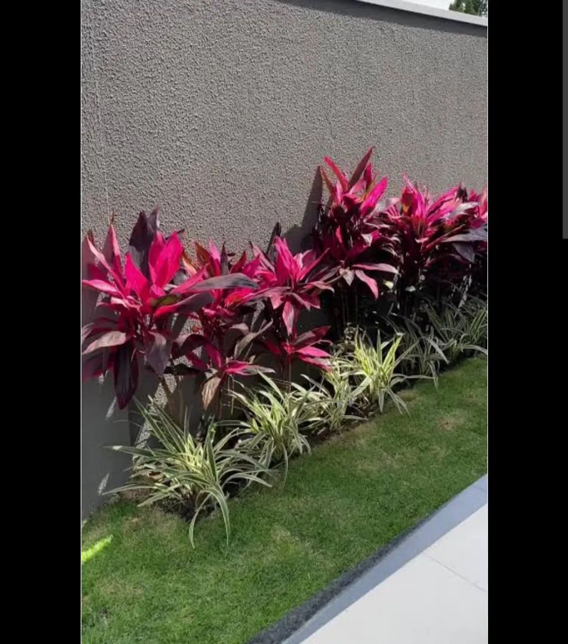 Jardineiro 