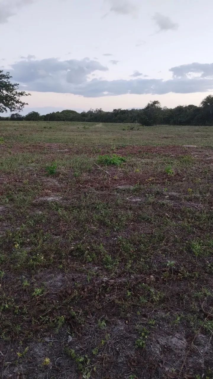 Terrenos na zona rural de Beberibe  - Foto 4