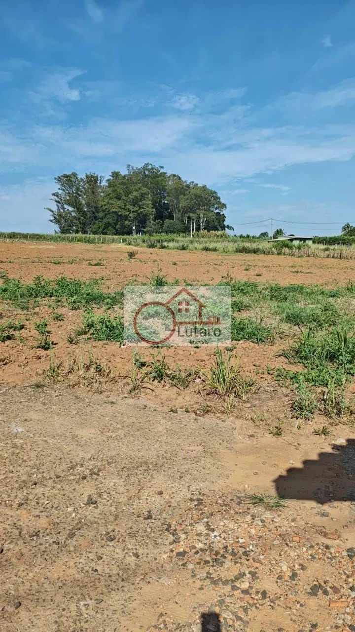 Lote em Serra Velha (Cardeal) - Elias Fausto - Foto 2