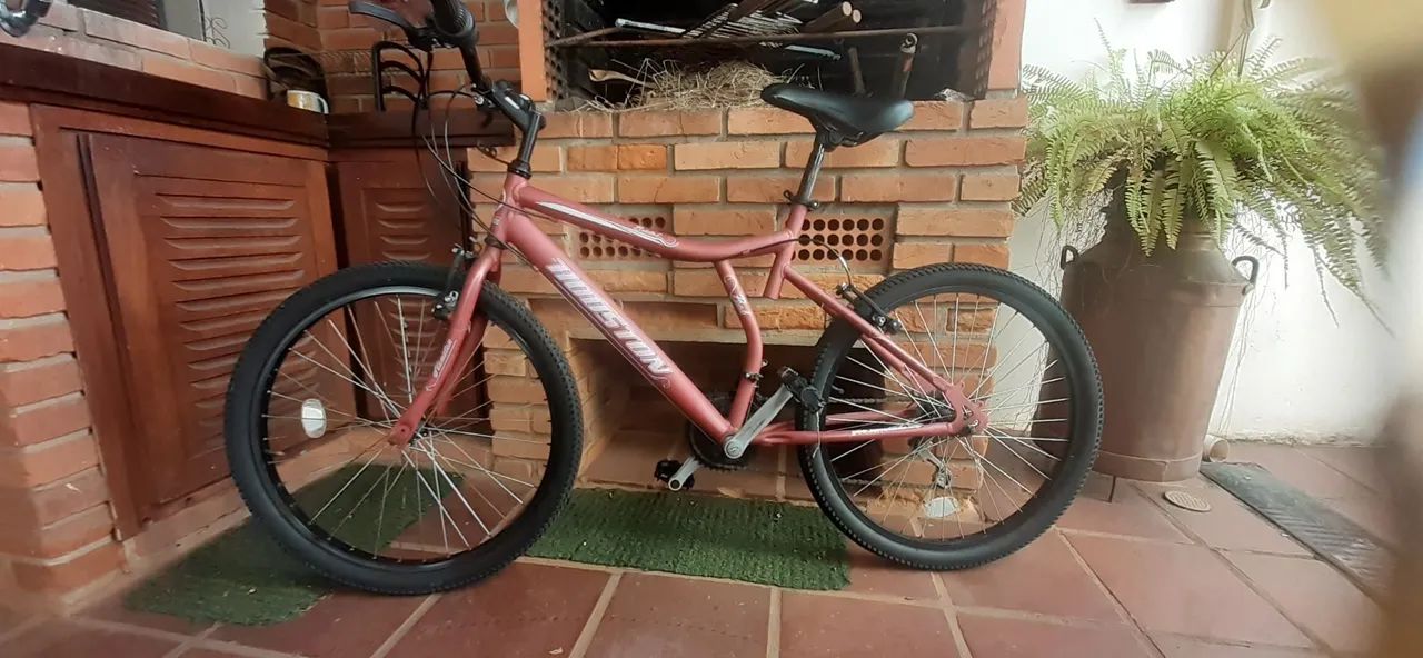 Bicicleta infantil aro 20