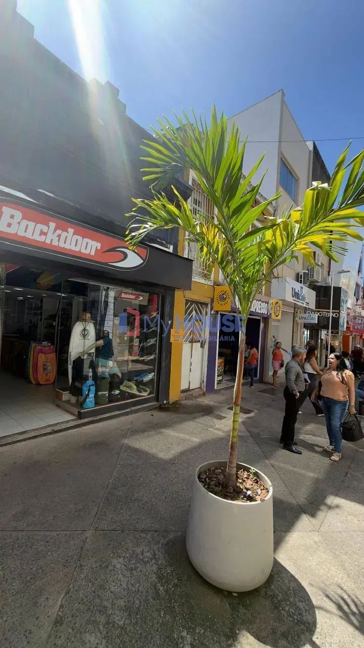 Sala para locação, Centro, Ilhéus, BA - Foto 3