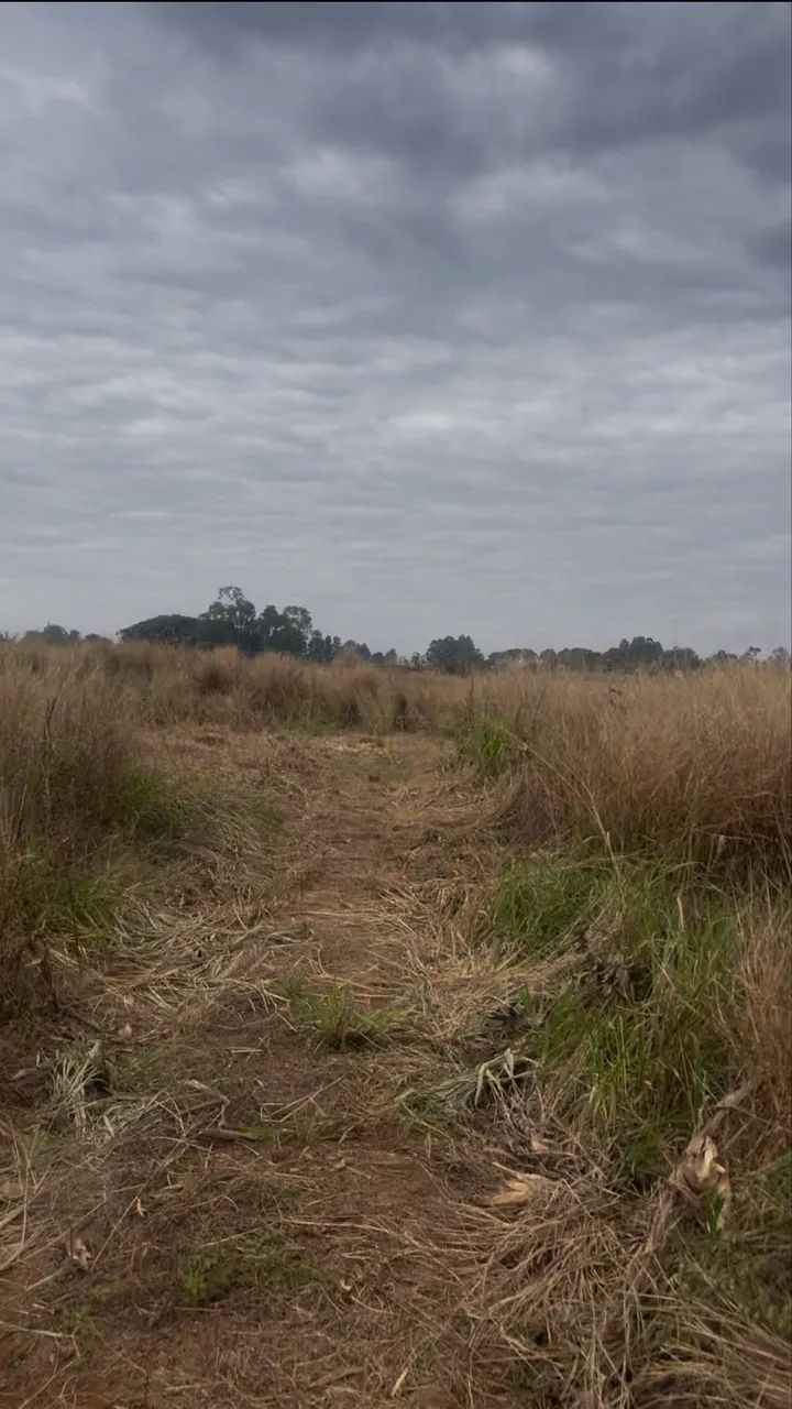 Alugo pasto para animais  - Foto 2
