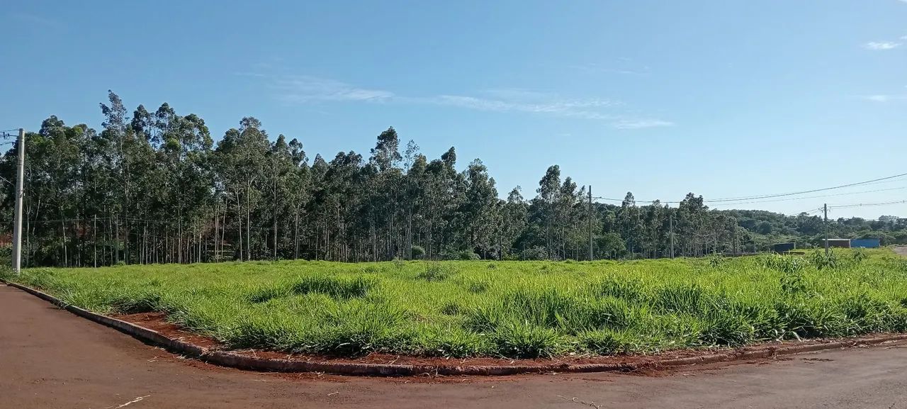 Área 15mil m² em Ponta Porã 