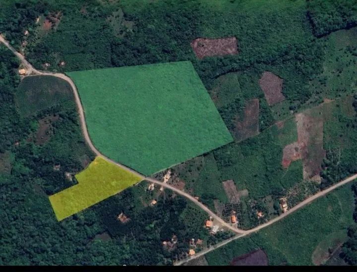 Vende-se  sítio  no Acará medindo 114 de frente por 208 de fundo, ja  com  uma produção  d - Foto 2