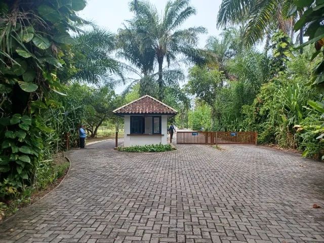 Foto - Mata de São João - 