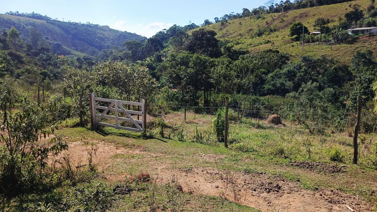 Terrenos Próximo A Torreões  - Foto 2