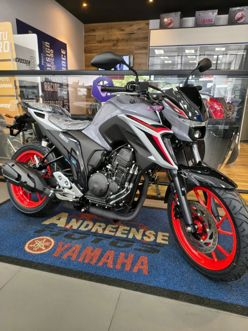 FZ 25 / Leandro - Foto 4