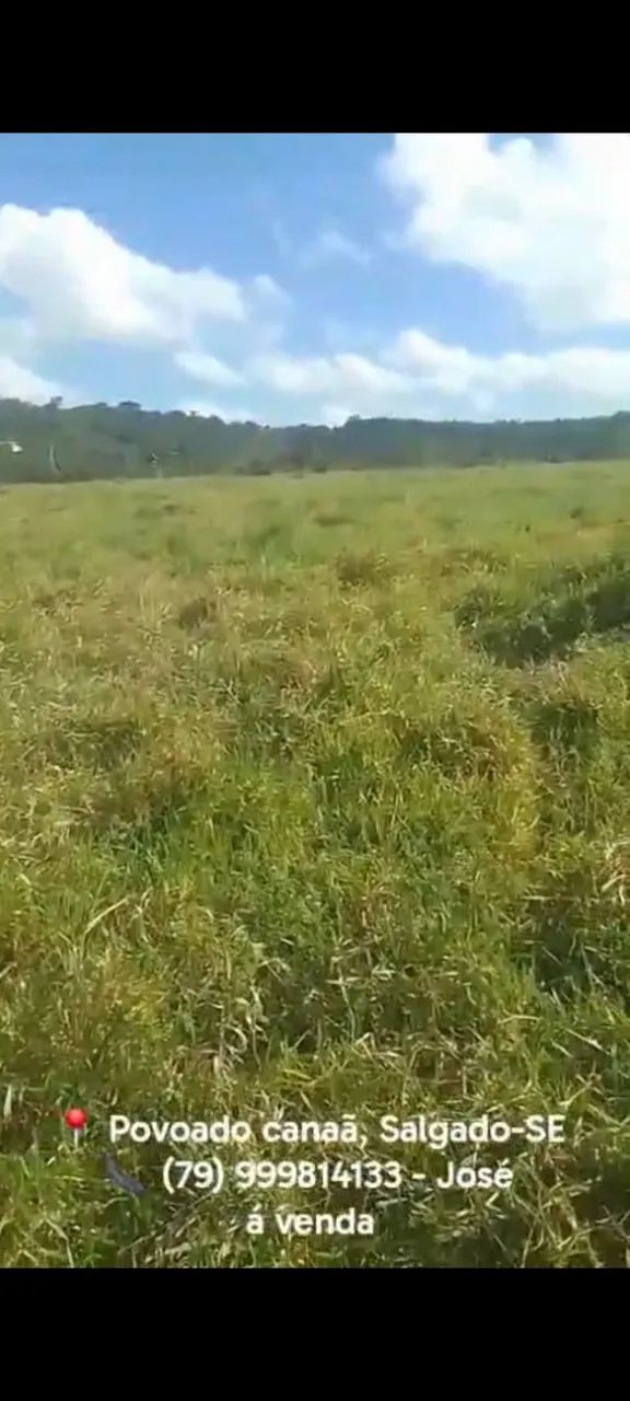 Vendo terreno 10 tarefas Povoado Canaã/Salgado-SE - Foto 3
