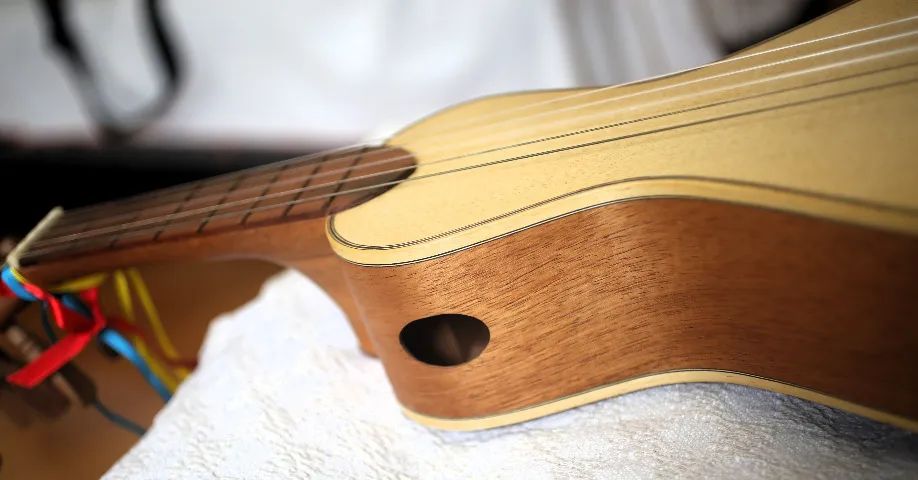 Viola de Cocho 2019 - Foto 2