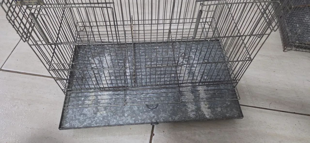 Gaiola criadeira aramil  - Foto 4