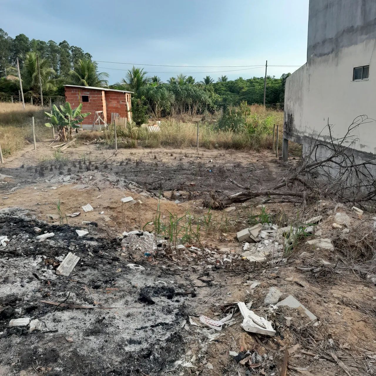 Lote - Foto 4