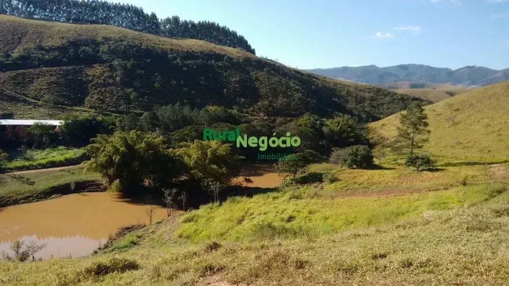 SÍTIO FORMADO COM LAGOS E PASTO Á VENDA EM APARECIDA-SP - Foto 2
