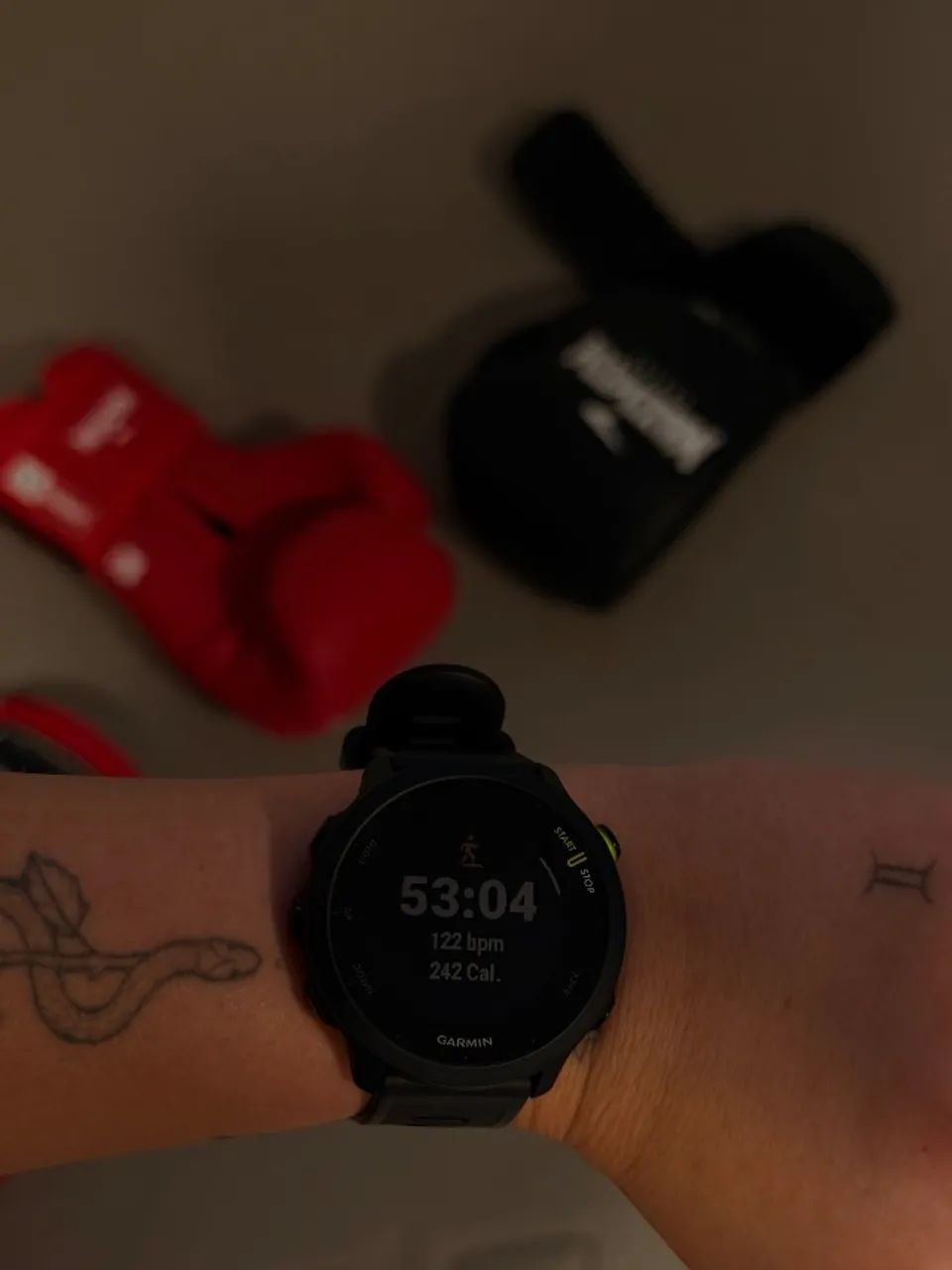 Garmin Forerunner 55  - Foto 2