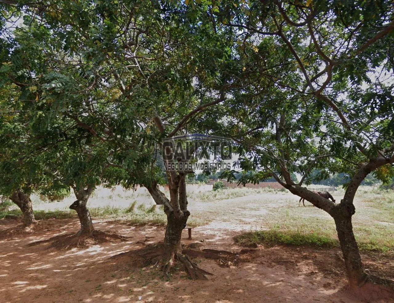 TERRENO BAIRRO MORADA NOVA - Foto 4