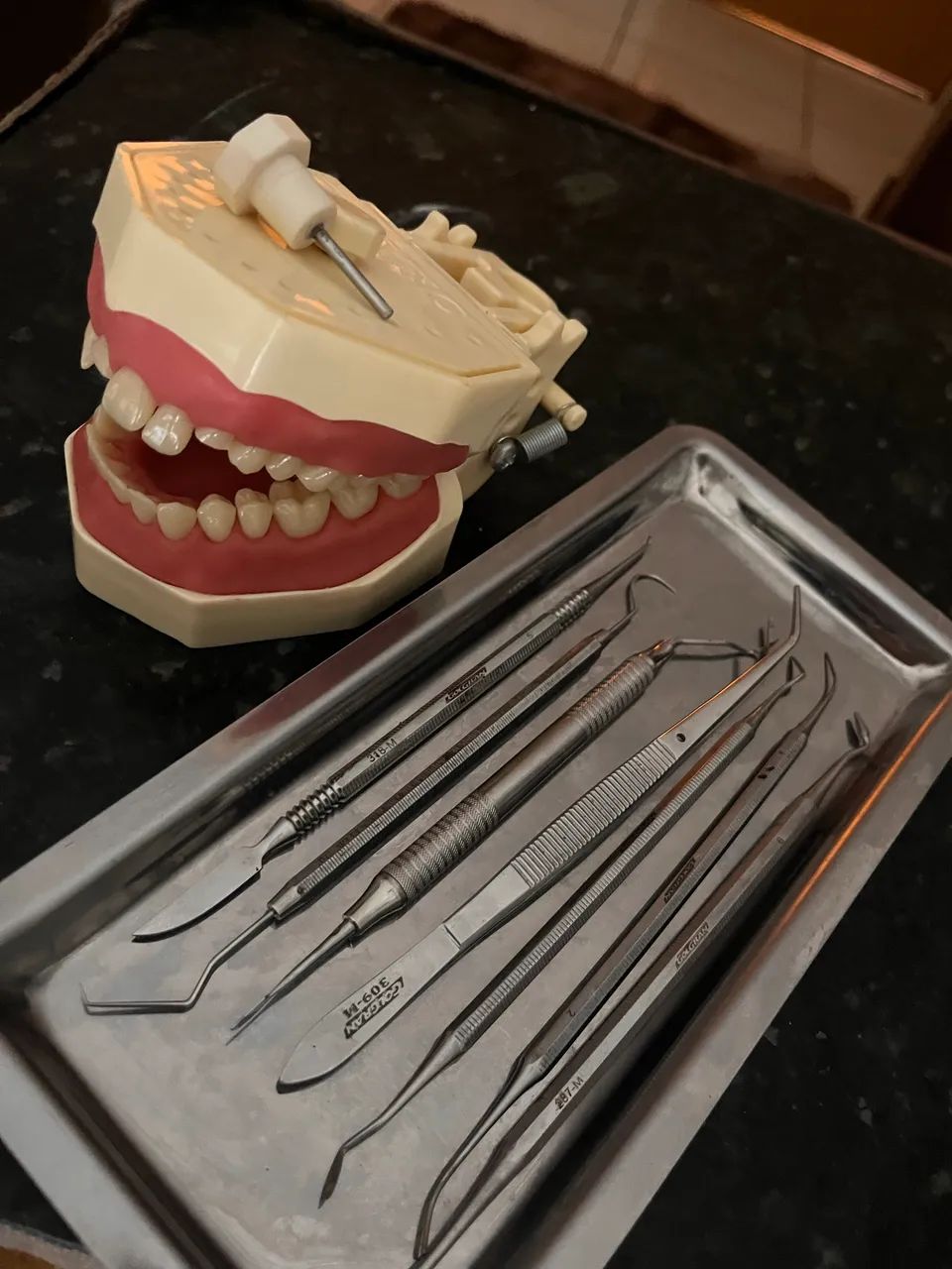 Manequim pro new e materiais odonto - Foto 3