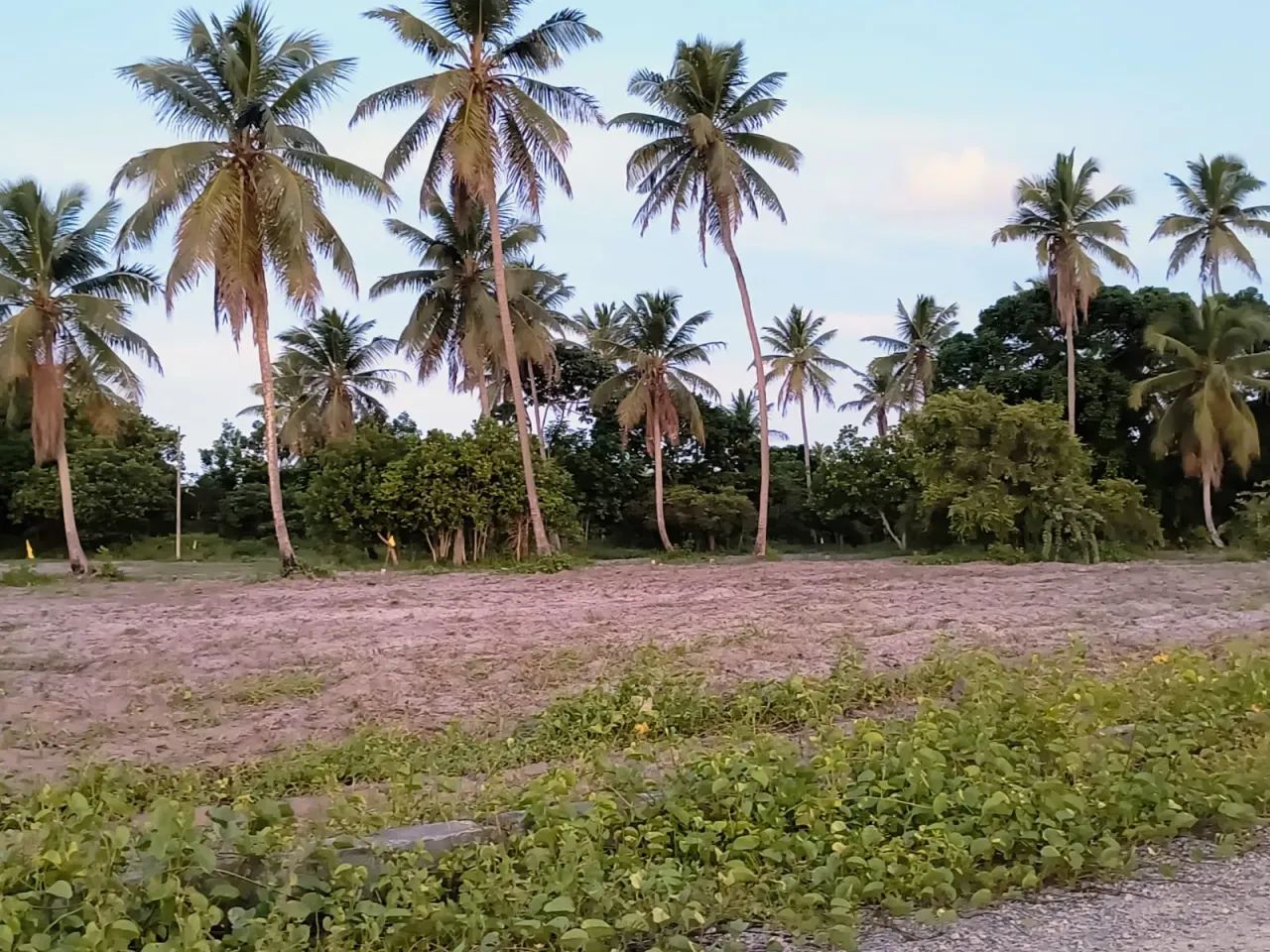 Lotes em Porto de Galinhas! - Foto 3