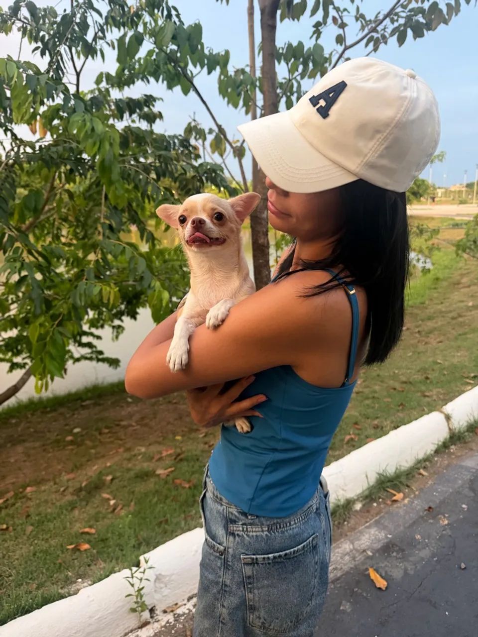 Cachorro - Foto 4