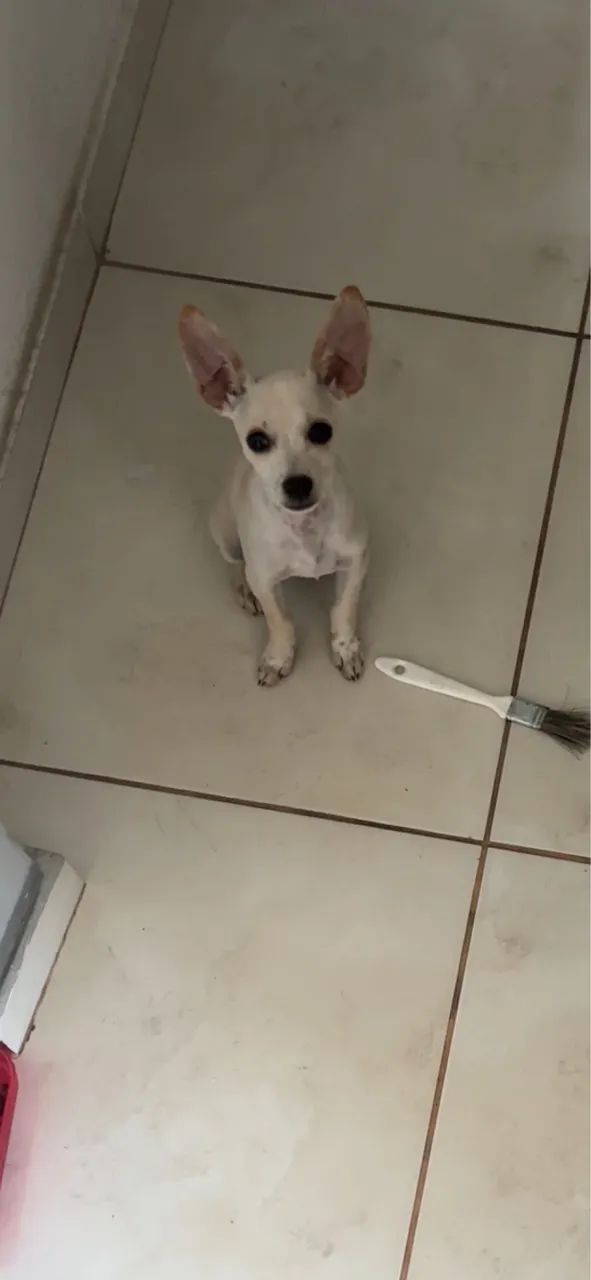 Doação  - Foto 2