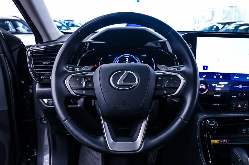 Lexus NX-350h Luxury 2.5 16V Aut. (hybrid), foto 15 de 19