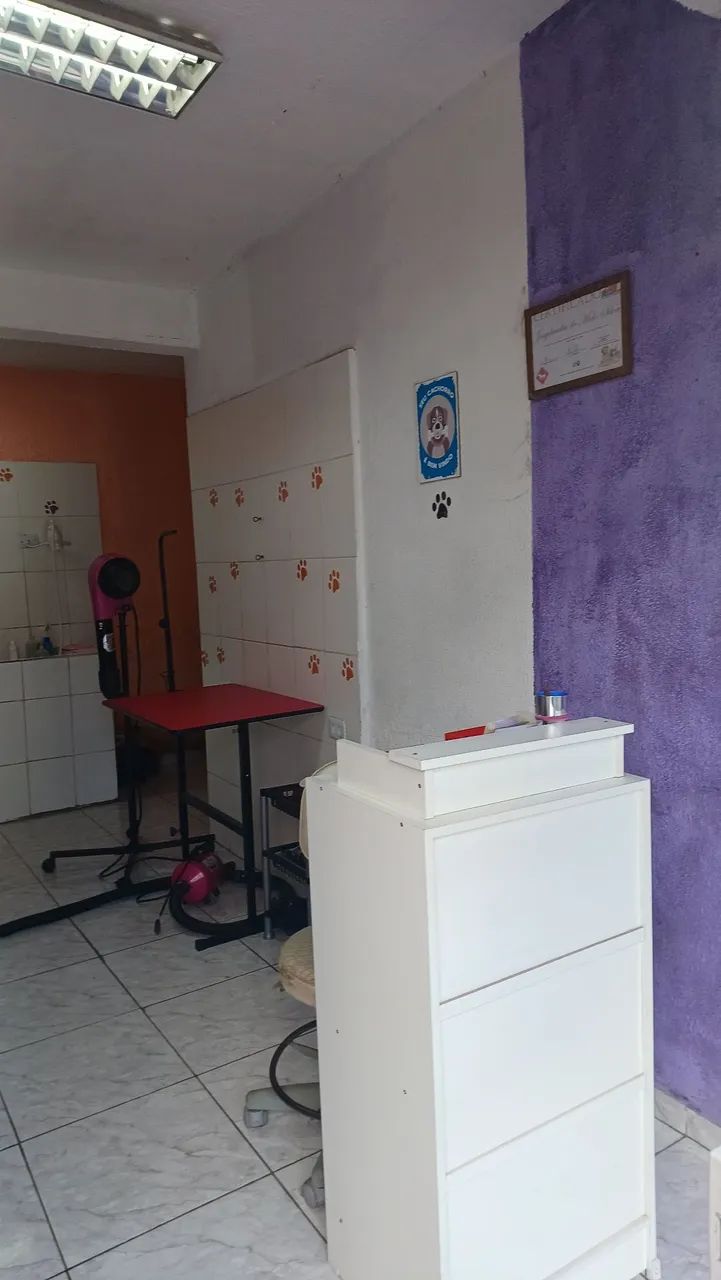 Vendo um Banho e Tosa - Foto 3