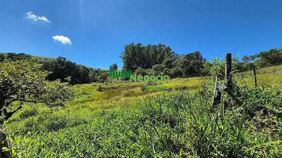 SÍTIO FORMADO COM FÁCIL ACESSO EM LAGOINHA-SP - Foto 2