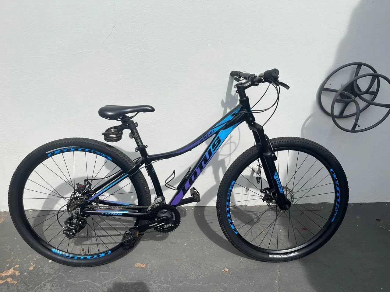 Vende-se bicicleta LOTUS angel 