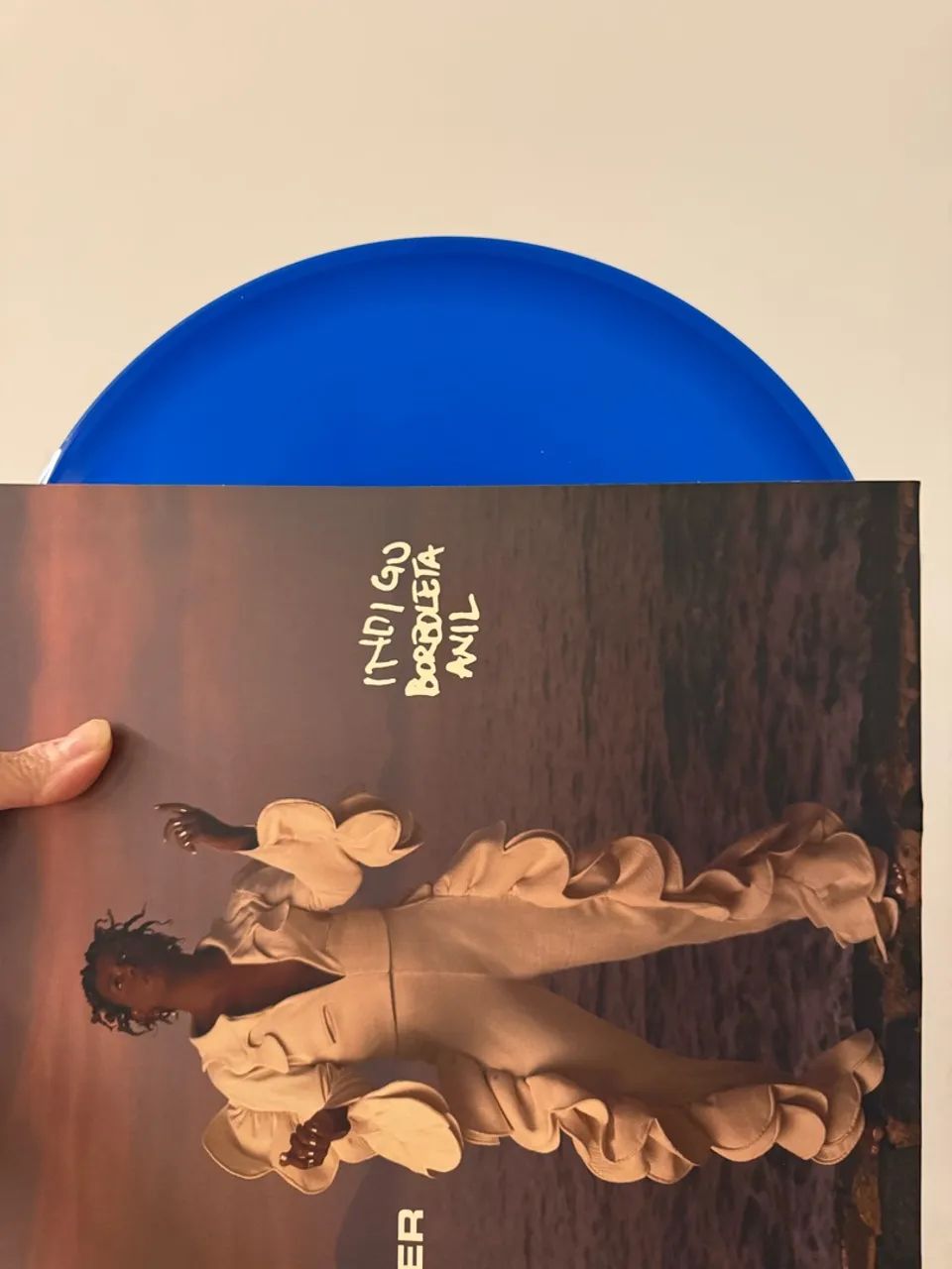 VINIL INDIGO BORBOLETA ANIL LINIKER - Foto 4