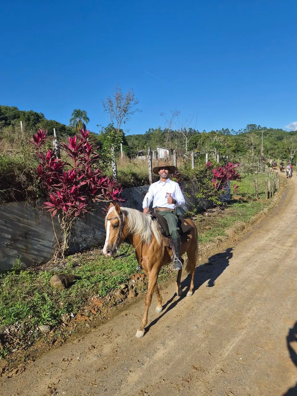 Egua baia - Foto 5