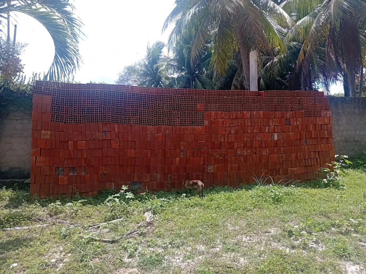Tijolos 65578334104961120