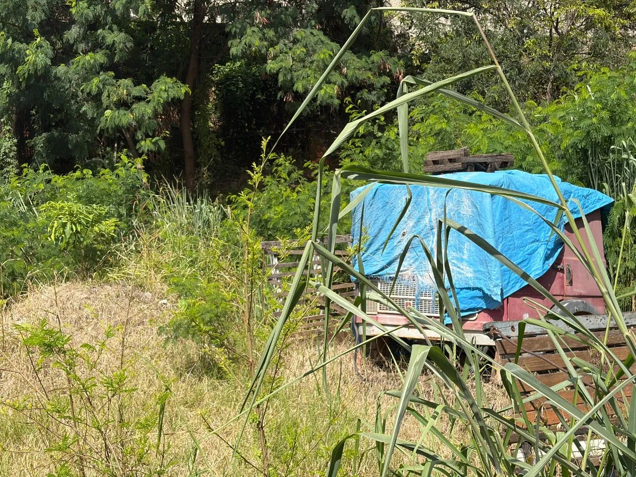 Lote a venda no Bairro Castelo