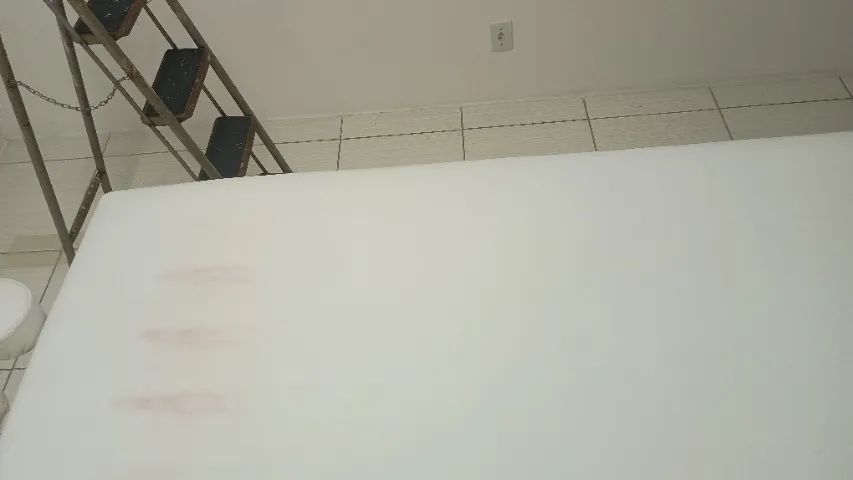 Maca ragonezi  - Foto 4