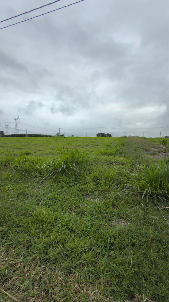 Repasse Quinta do Caçador - Carpina  - Foto 4