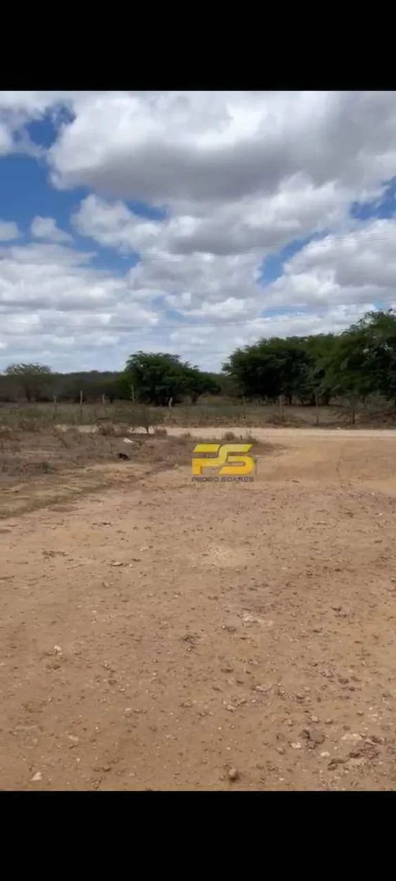 Área com 2 Hectarias à Venda  Centro de Nova Palmeira/PB - Foto 2