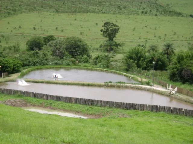 Sítio a venda em Caconde SP - Foto 2