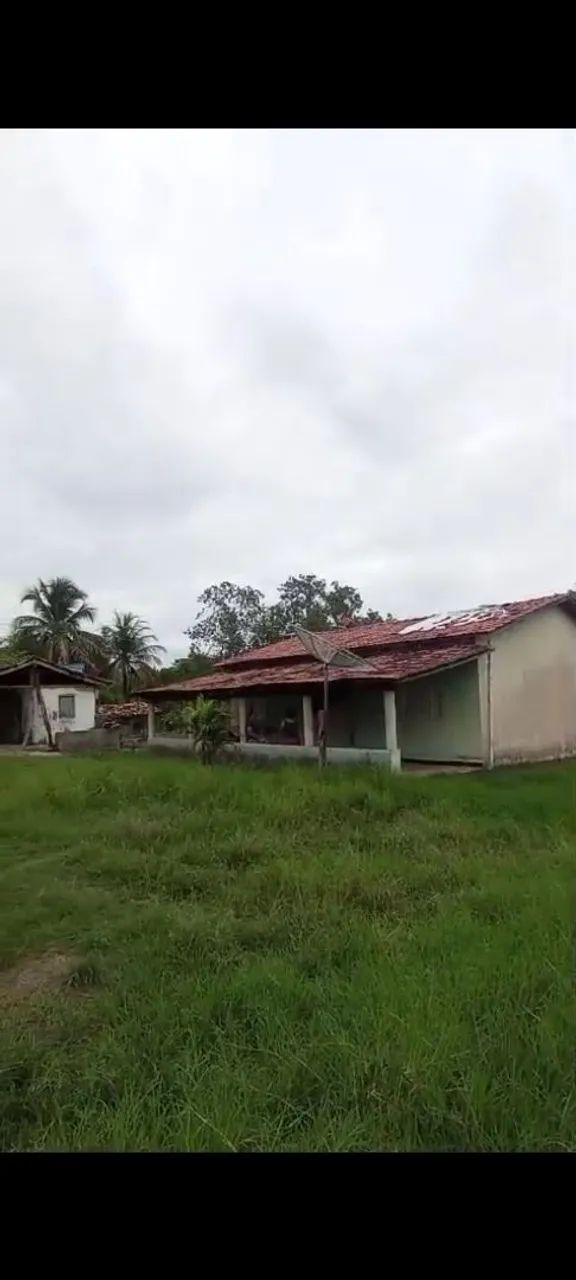 Vendo chácara urgente - Foto 2