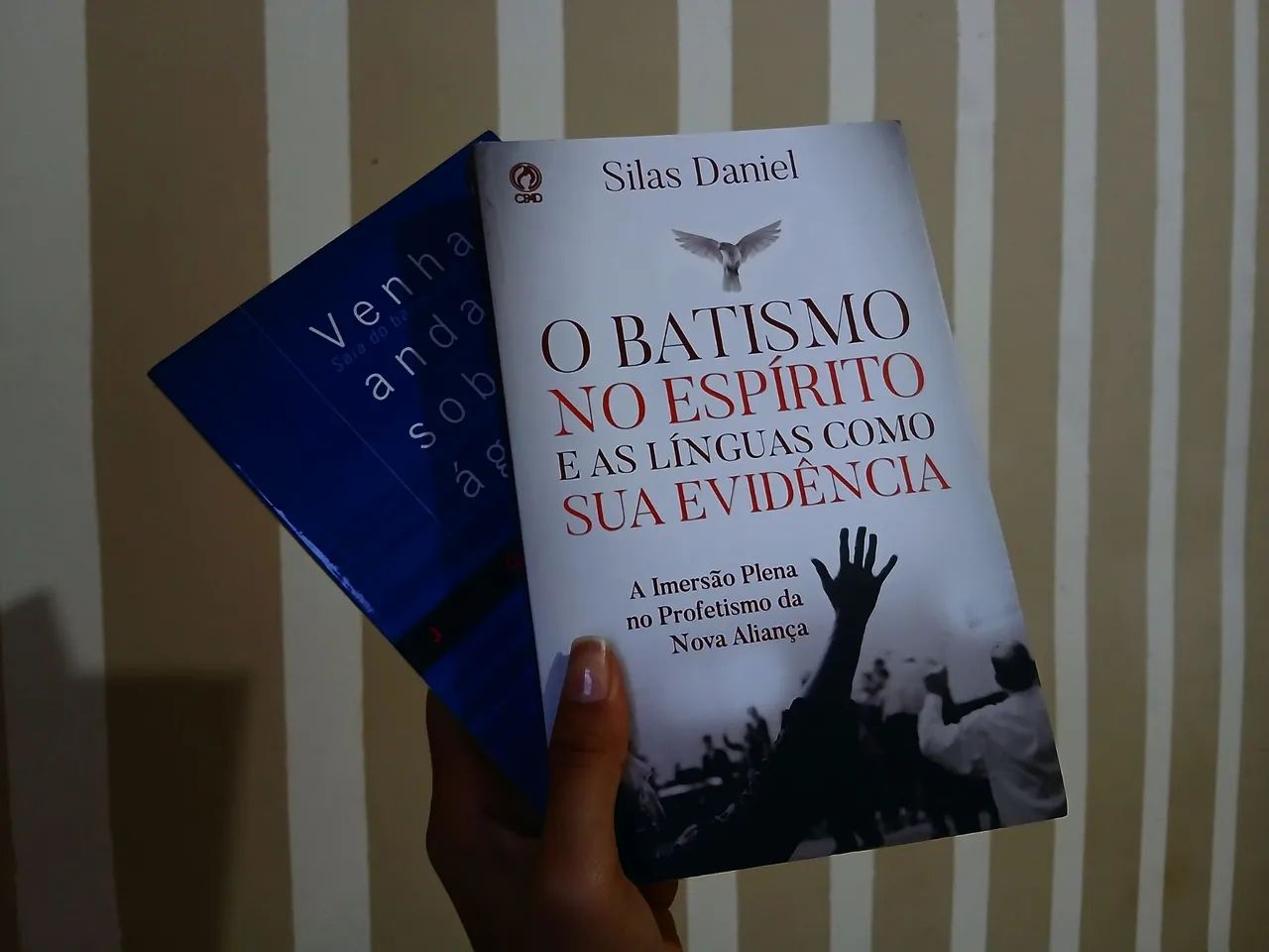 Kit Livros Cristãos (novos)