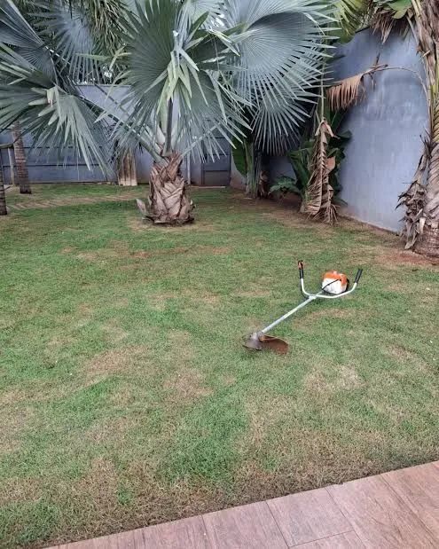 Capina e Roçagem mecanizada  - Foto 4