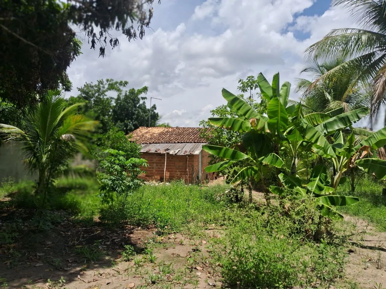 Terreno no povoado sapé  - Foto 5