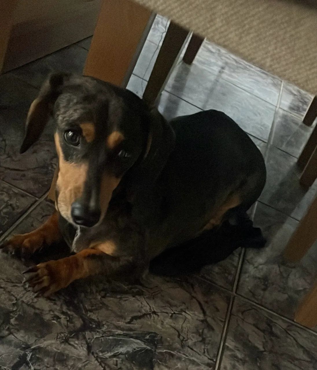 Vendo