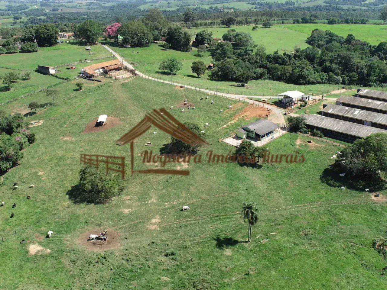 Sítio com galpões de granja, 85 mil aves, área com 20,8 alqueires - Foto 4
